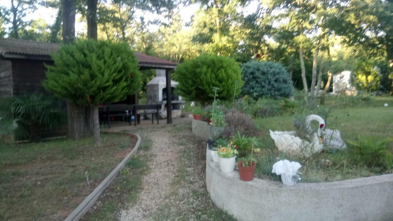 Apartment Andjel Poreč Dış mekan fotoğraf