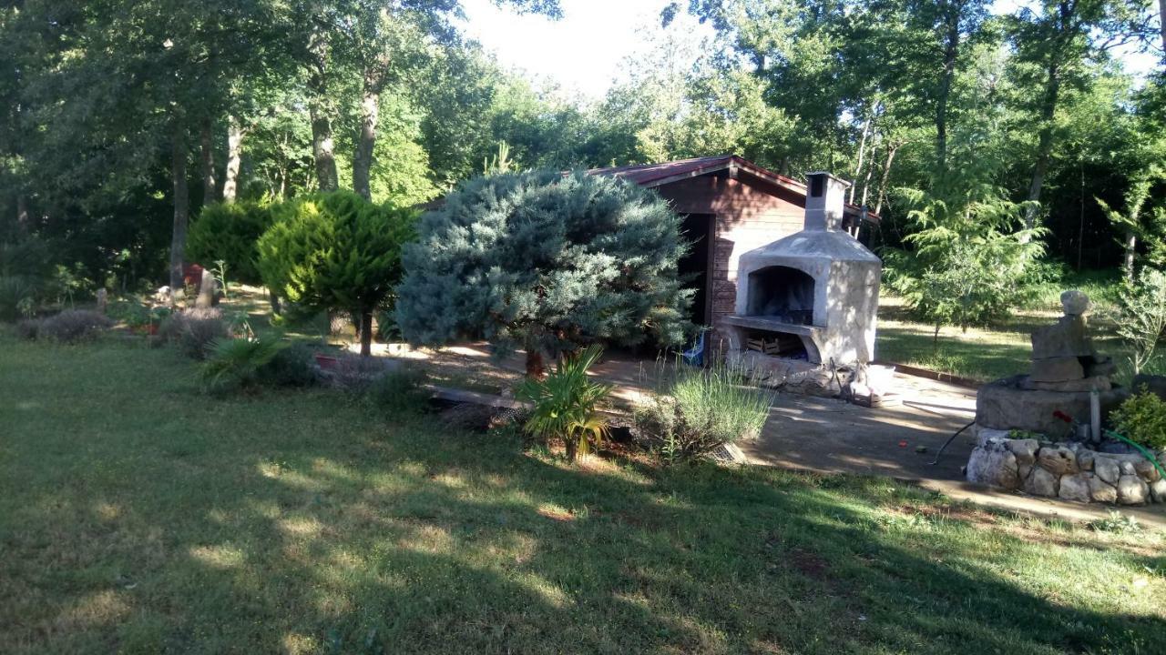 Apartment Andjel Poreč Dış mekan fotoğraf