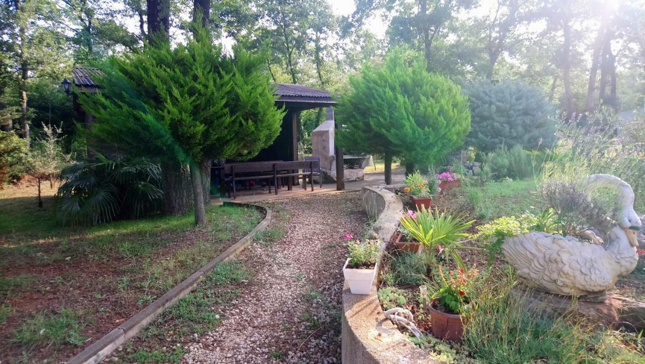 Apartment Andjel Poreč Dış mekan fotoğraf